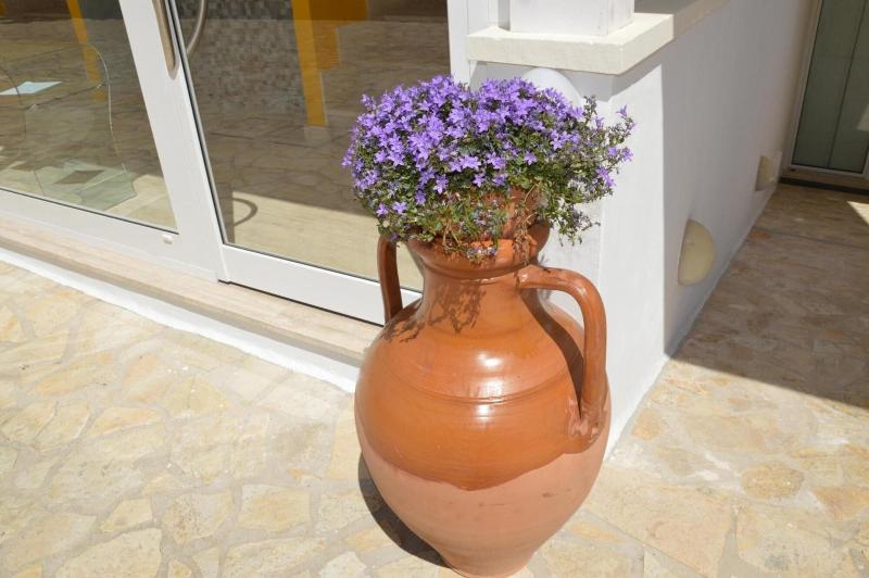 Casa Cardignan image