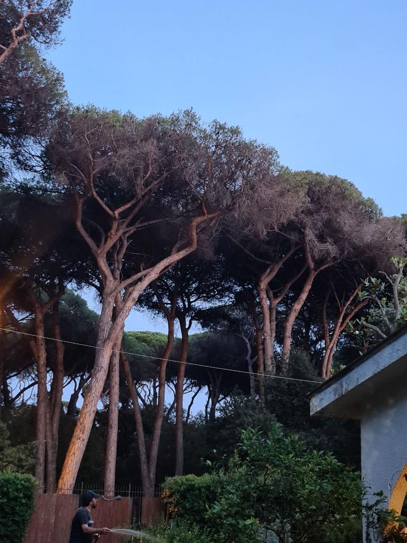 La Casa Di Nataly image