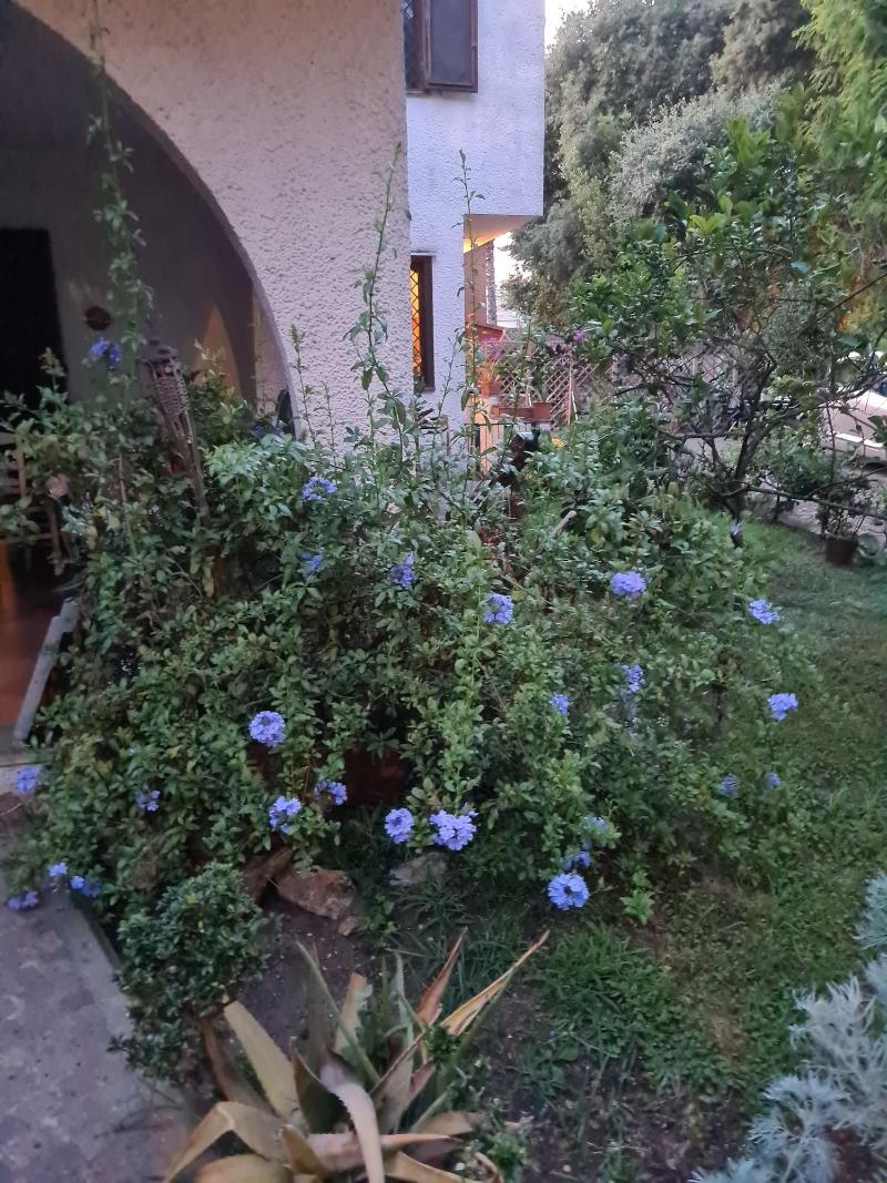 La Casa Di Nataly image