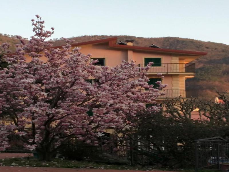 Hotel La Vigna image