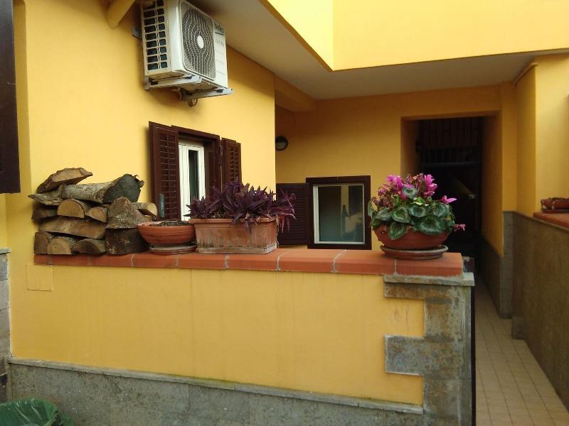 Home To Fly image