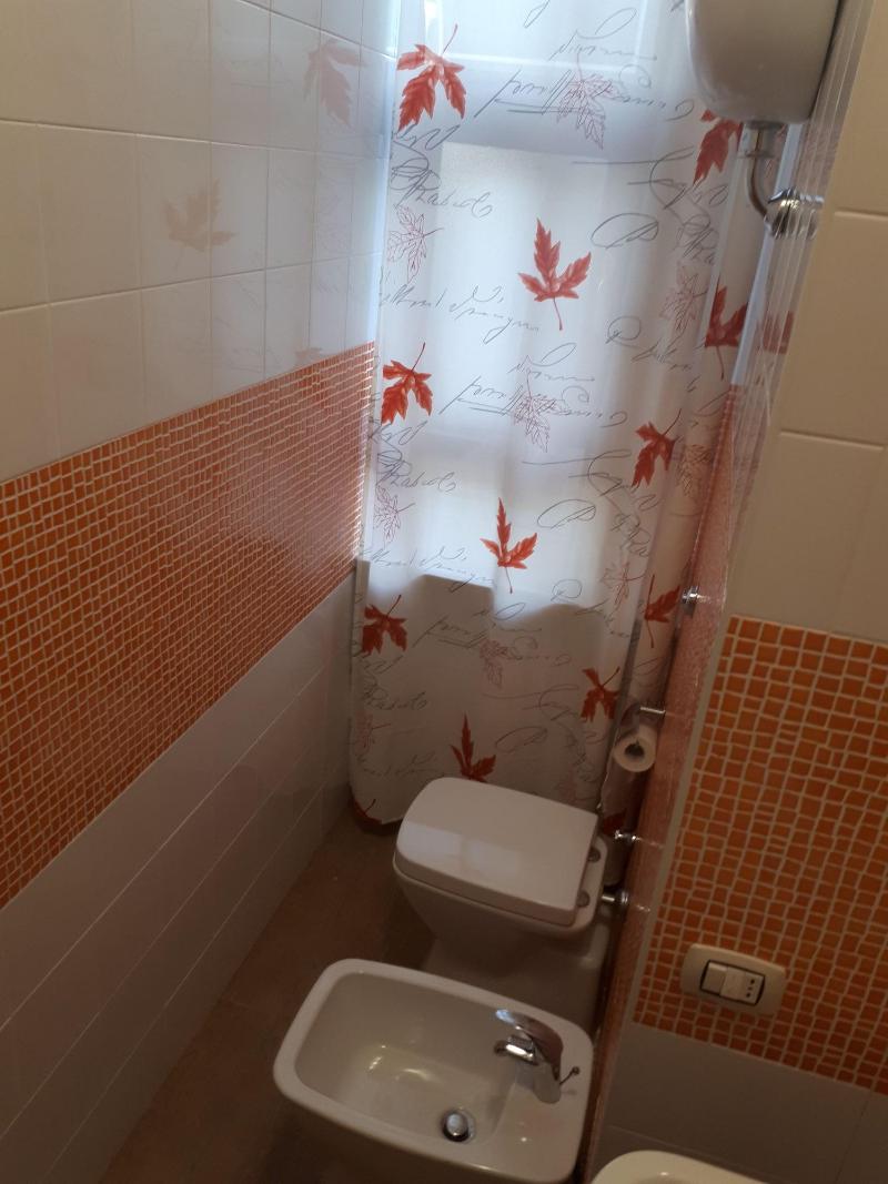 Home To Fly image