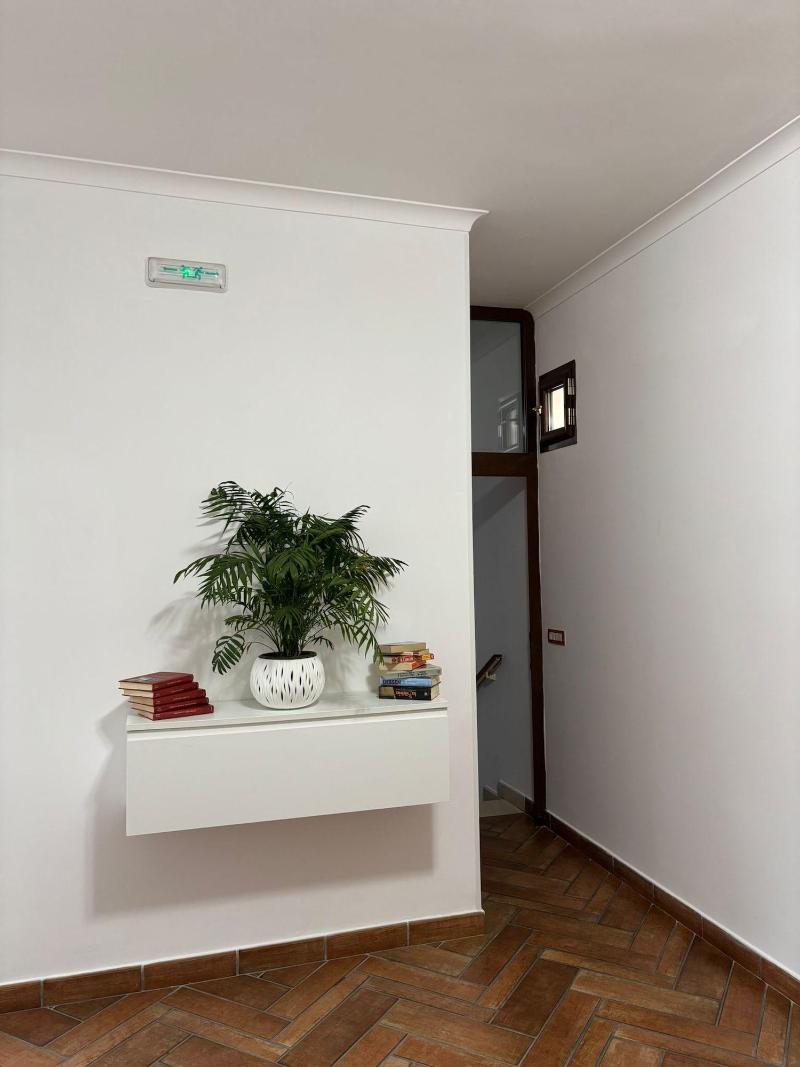 Home To Fly image