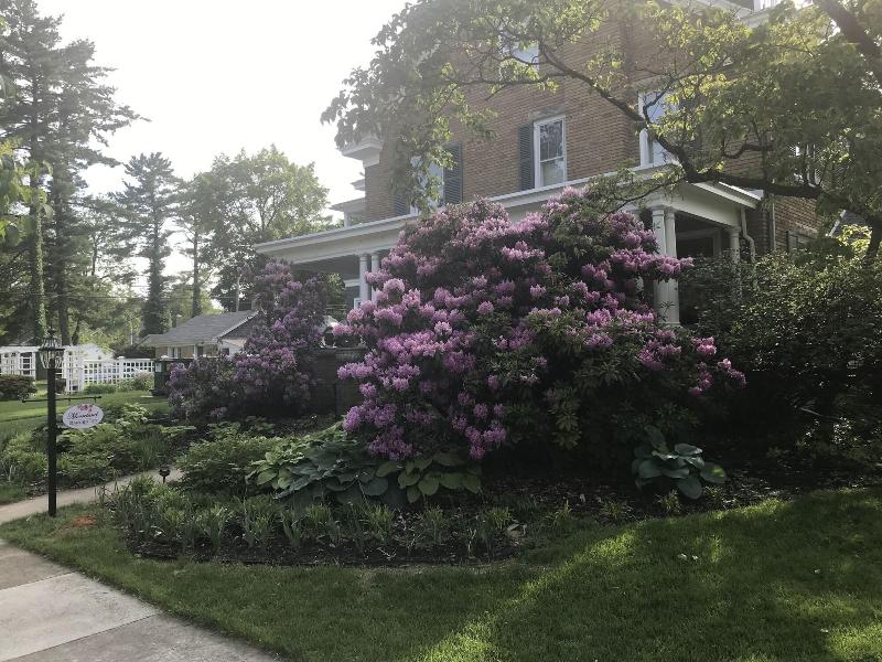 Mooreland Garden Inn image