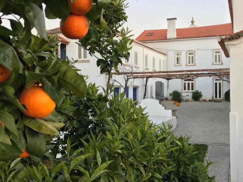 Oryza Guest House & Suites image