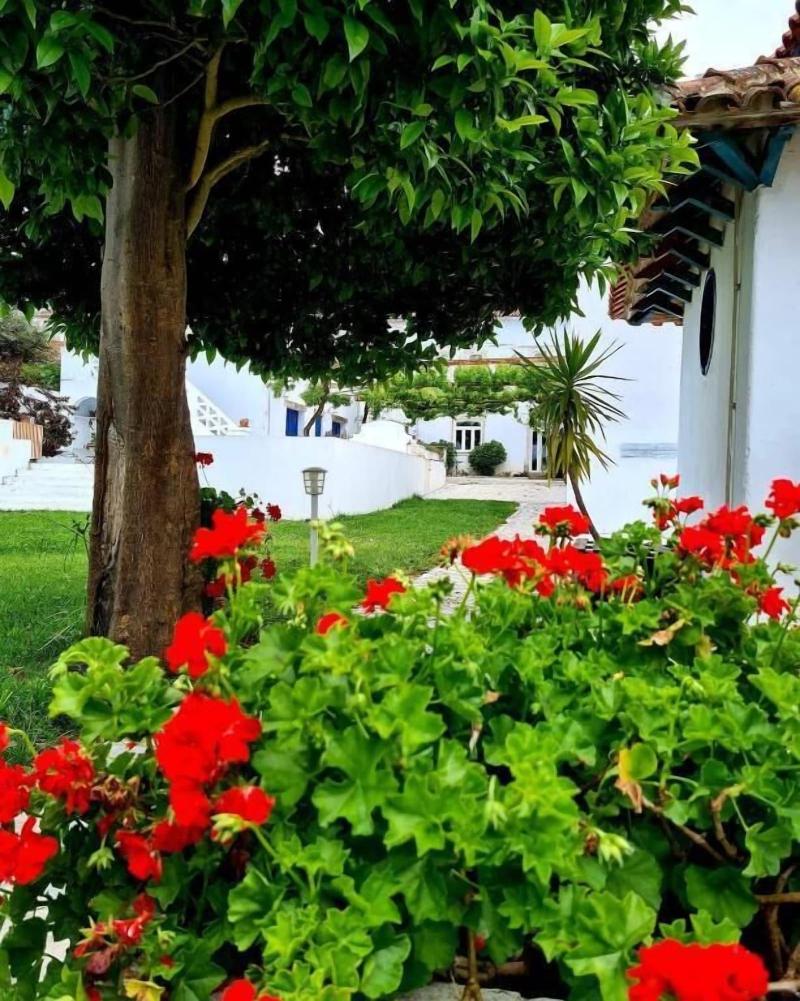 Oryza Guest House & Suites image
