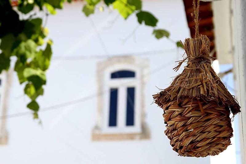 Oryza Guest House & Suites image