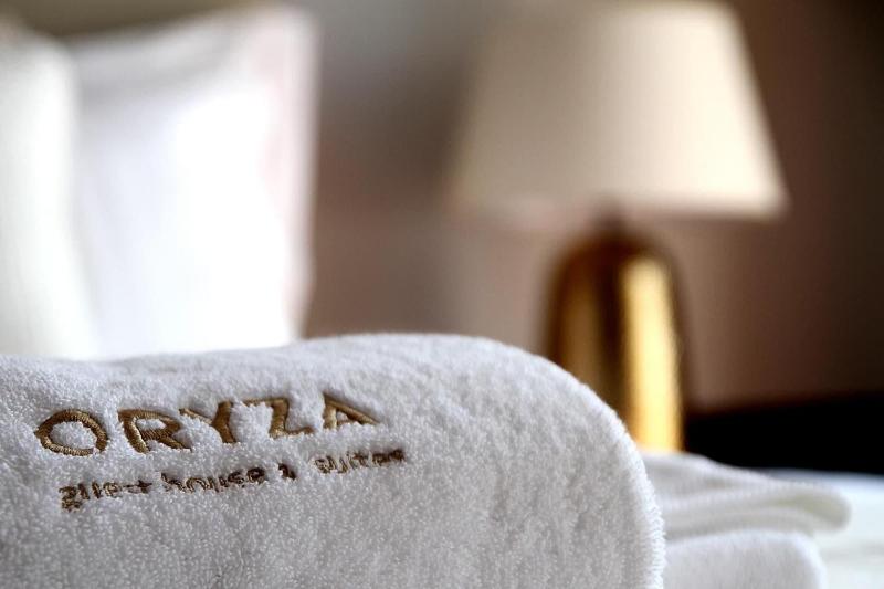 Oryza Guest House & Suites image