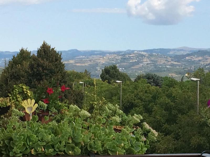 B&B Pergolesi image
