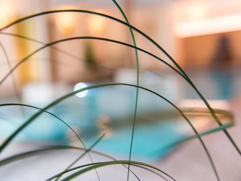 Hotel Falken image