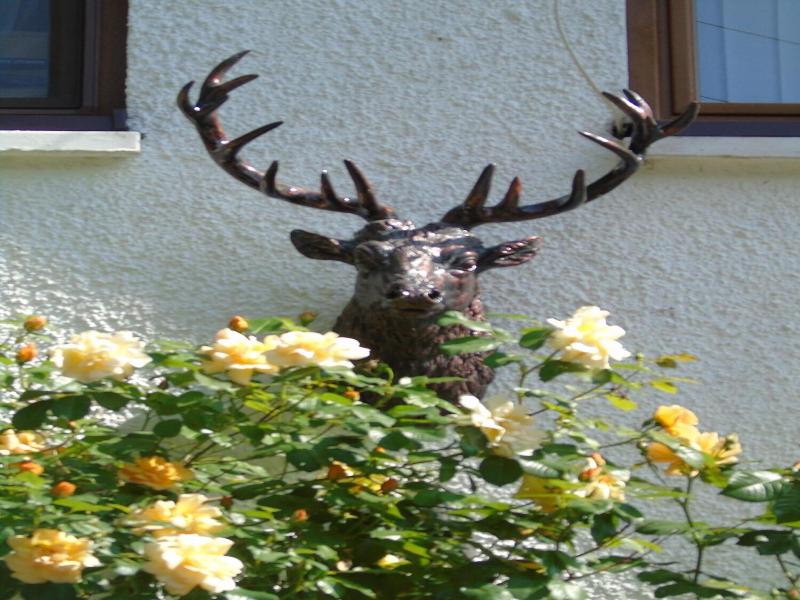 Craik Na Dav B&B image