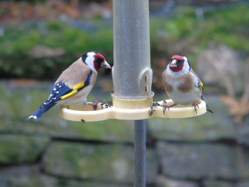 Craik Na Dav B&B image
