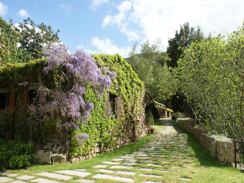 L'Agnata di De André image