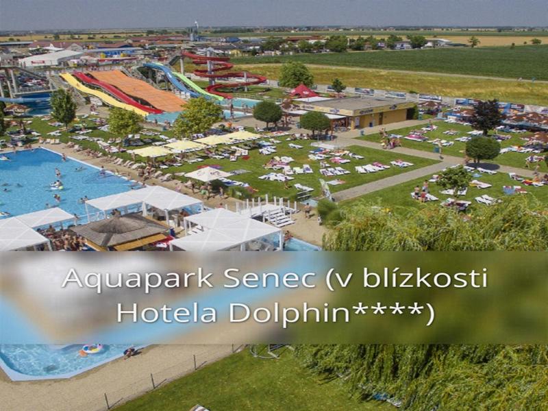 Hotel Dolphin image