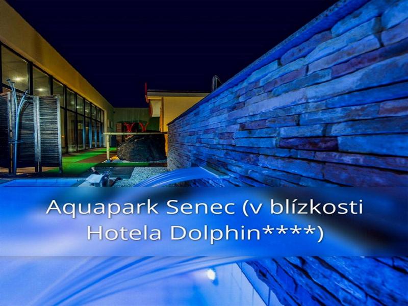 Hotel Dolphin image