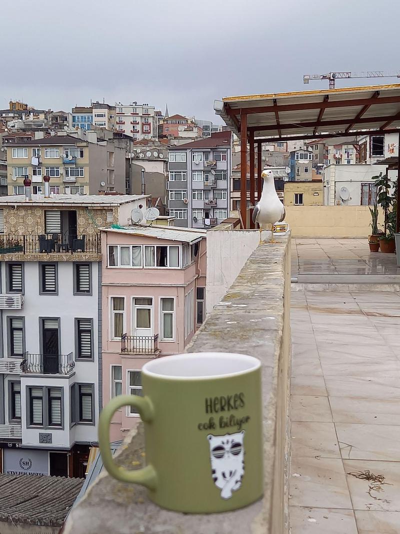Avsin Apart Hotel image