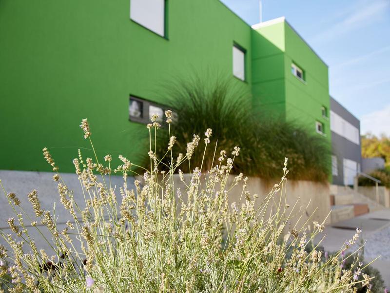 Hotel Good Rooms Guntramsdorf image