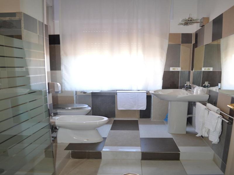 Hotel Torvaianica image