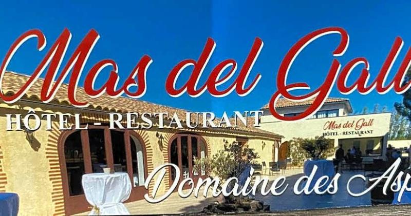 Hôtel Mas del Gall image