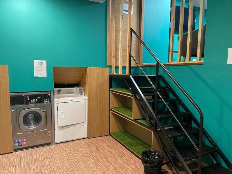 Hostel Andaina image