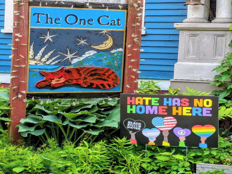 The One Cat B&B image