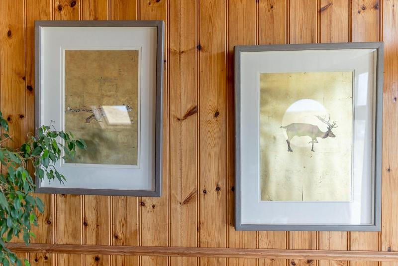 The Druidstone Hotel image