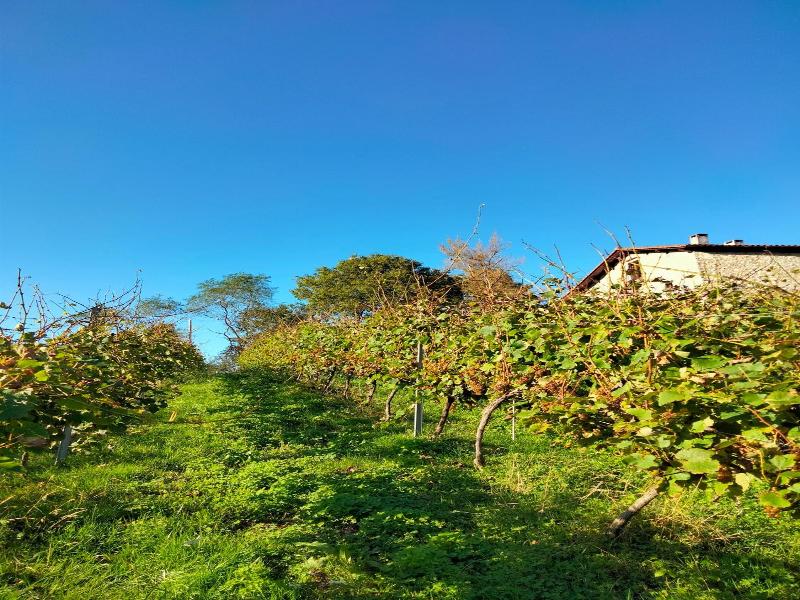 Agroturismo Erlete Goikoa image