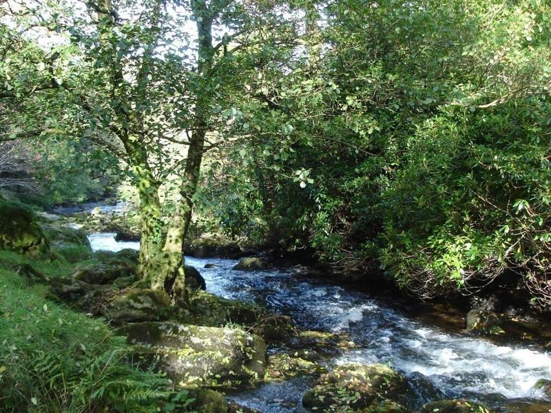Lorna Doone House image