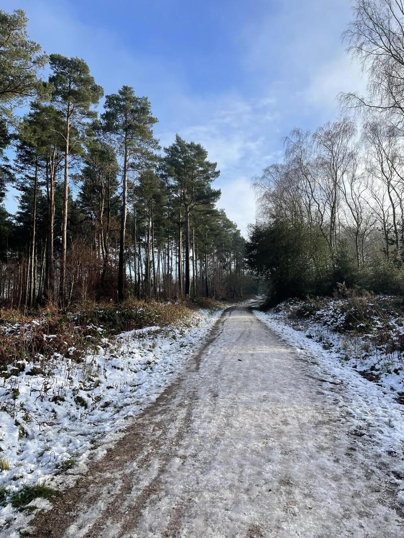 Harpur's of Melbourne image