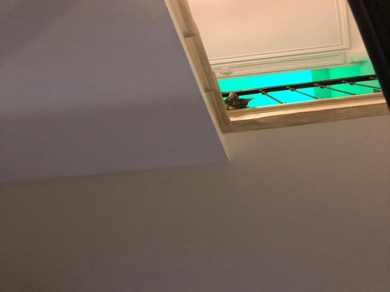 Hotel Le Lys d'Or image