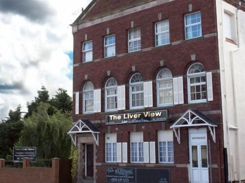 The Liver View image