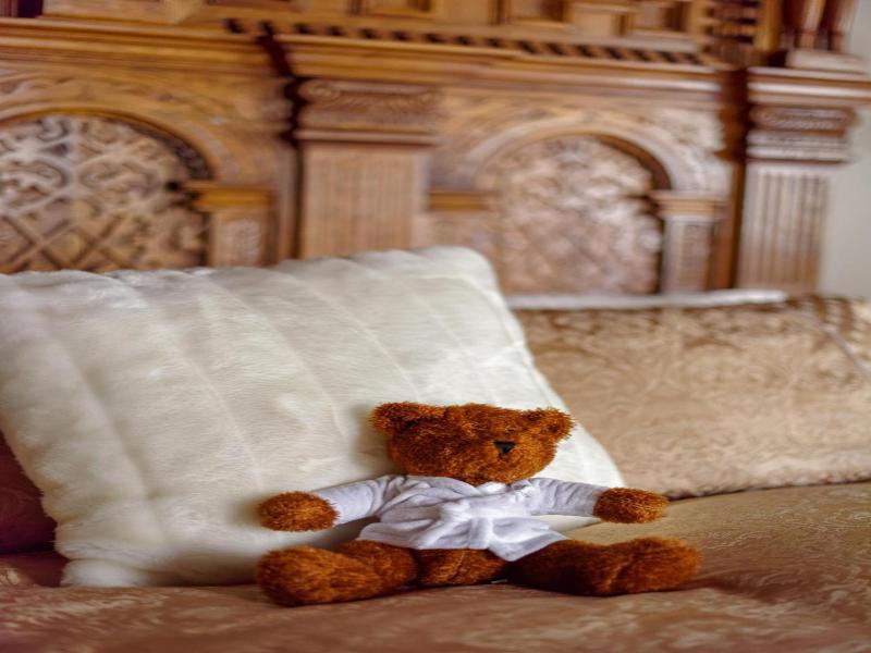 The Saddleworth Hotel image