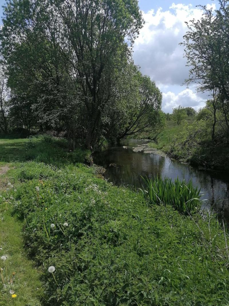 Aagaarden image