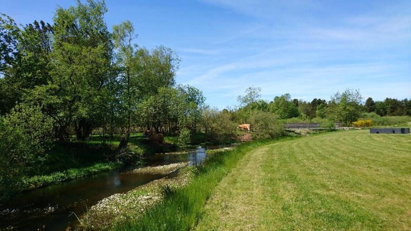 Aagaarden image