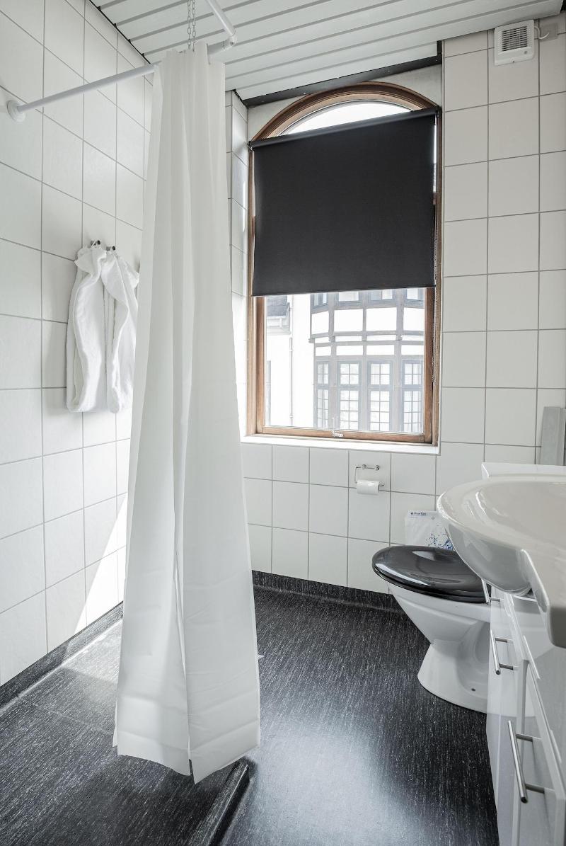 Hotel Phønix Brønderslev image