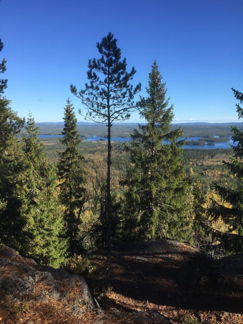 Värdshuset Lugnet