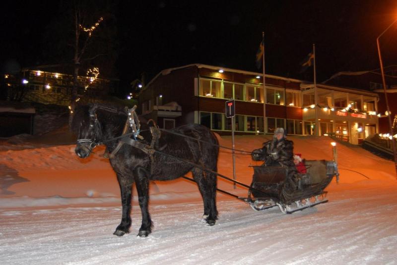 Tärnaby Fjällhotell image