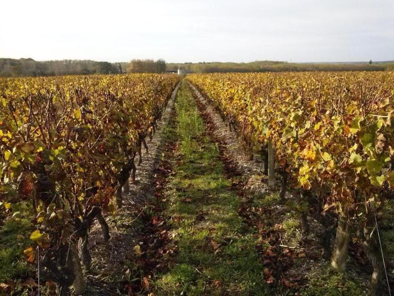 Les Ormeaux image