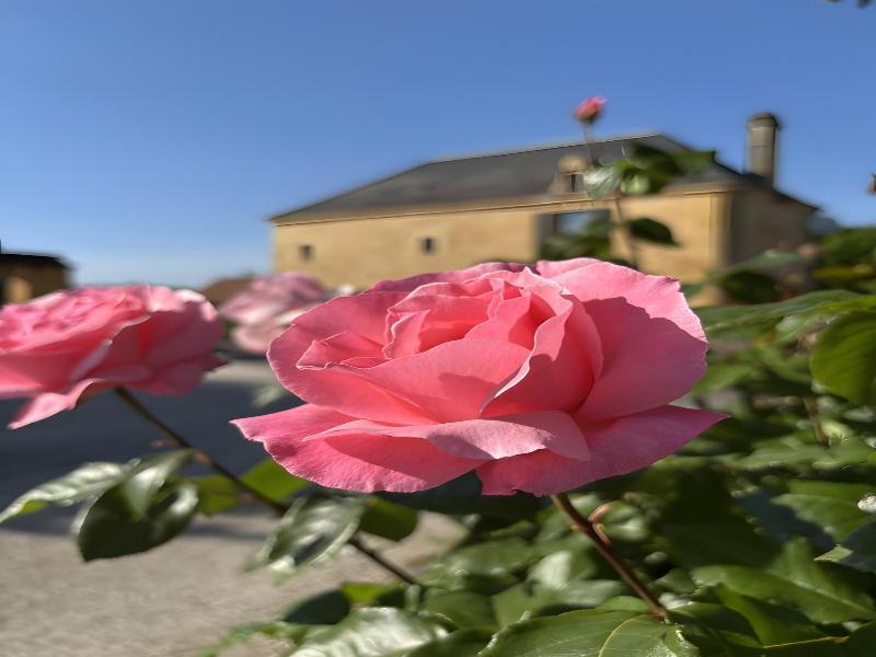 Les Clauzels B&b image