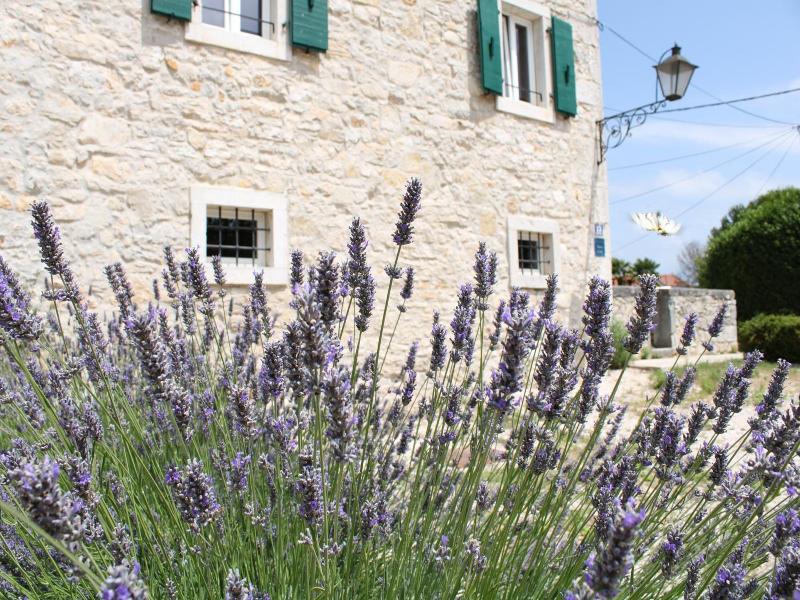 Castello Gulici Porec image