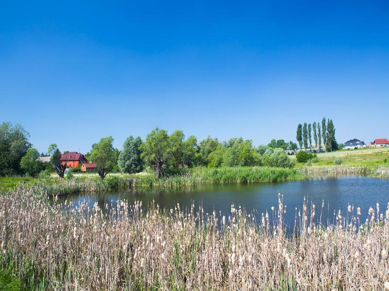 Zloty Staw image