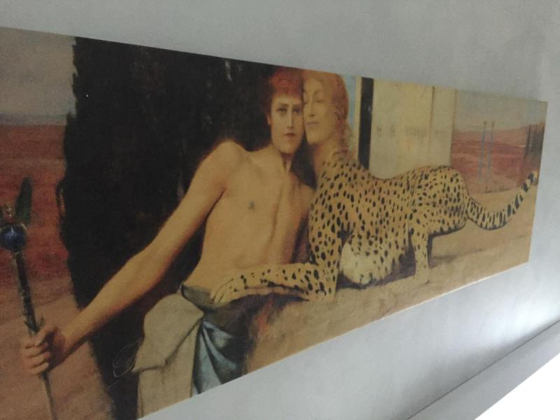 Picaflor image