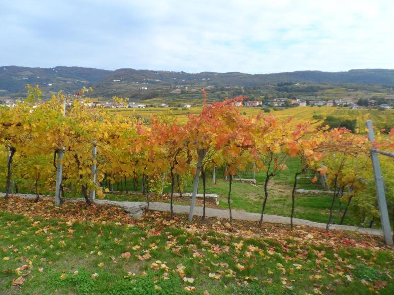Hotel Villa Moron image