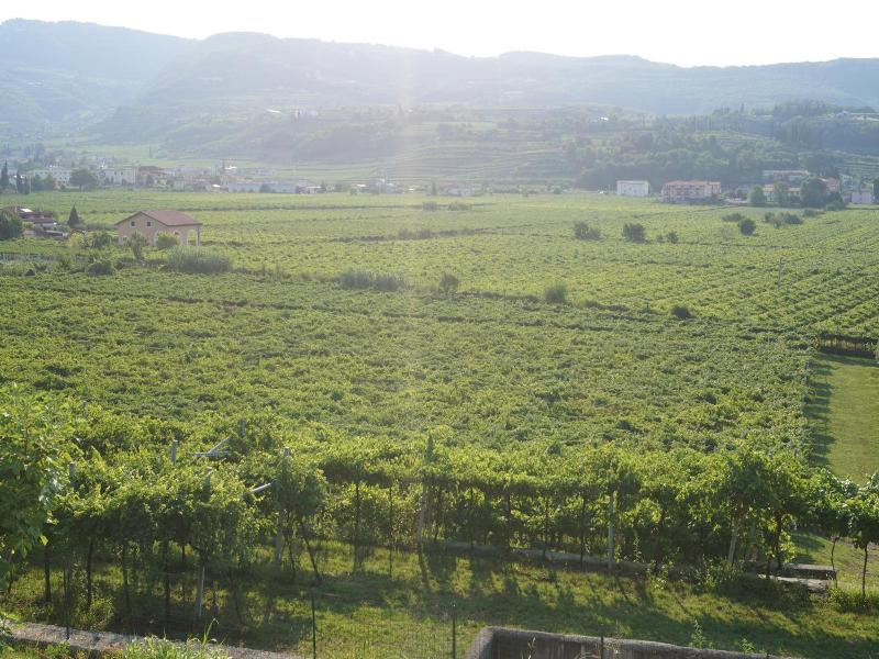 Hotel Villa Moron image