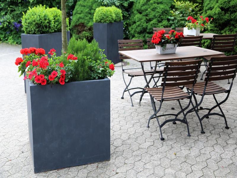 Hotel Gut Moschenhof image