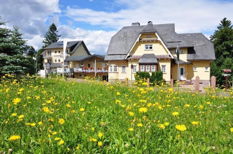 Pension Waldschlösschen image