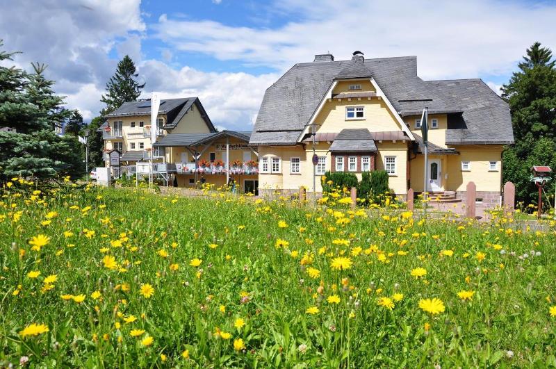 Pension Waldschlösschen image
