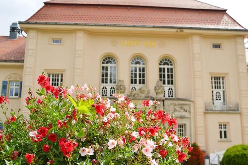 Hotel König Albert image