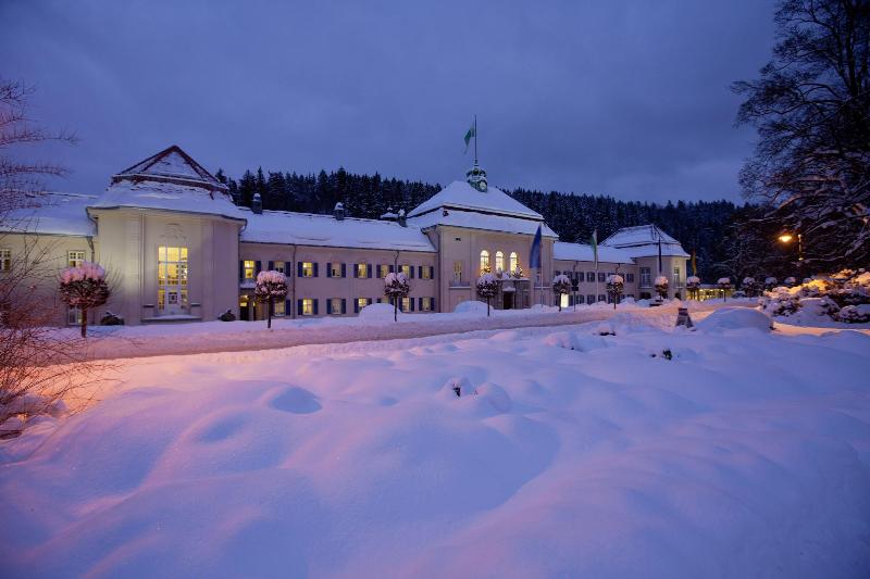 Hotel König Albert image