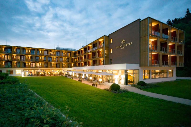 Hotel König Albert image